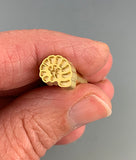 Leonardo Ammonite Imprint Tool